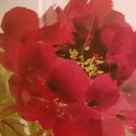 nanovi, eng3, spa, spas and wellness centers