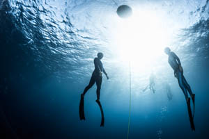 Free divers practicing apnea diving