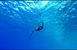 A Free Diver's going into a state of apnea while spear fishing.