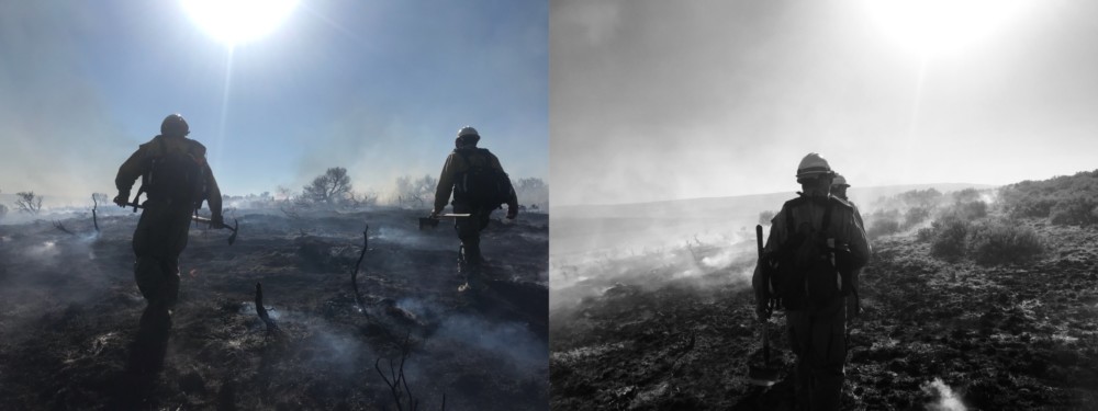 Firefighters