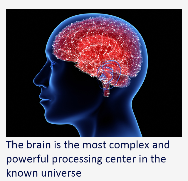 Our brains are fascinatingly complex organs, the centers of who we are as people, responsible for determining how we see, think about, and respond to the world around us. It’s no wonder given the complexity involved, that our knowledge of how the brain works is incomplete. A quote attributed to the late physicist Emerson M. Pugh may put it best: “If the human brain were so simple that we could understand it, we would be so simple that we couldn’t.” Yet there are many pieces of the bigger picture that we do understand—one of them is the clear impact of oxidative stress on brain health and function.