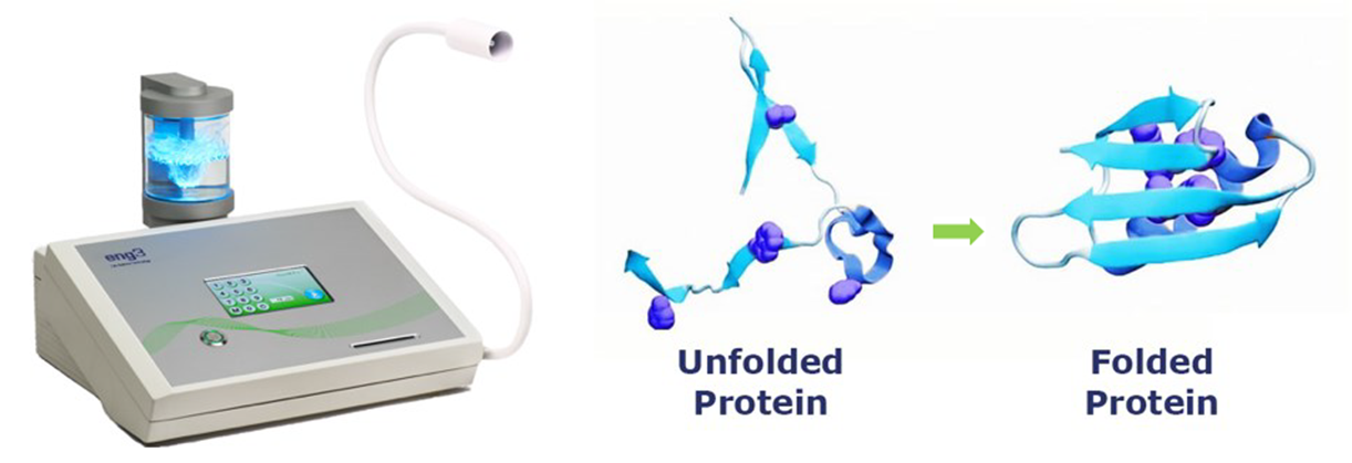 A NanoVi next to an unfolded protein molecule. An arrow to the right of the unfolded molecule points to a folded protein molecule