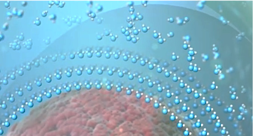 Breathe and Live Longer, The Human Upgrade